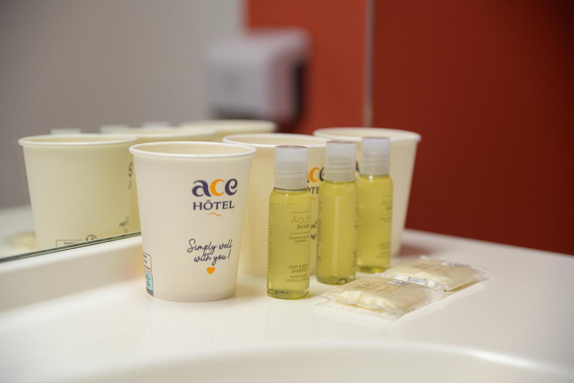 Hotel Ace Paris Roissy 3*